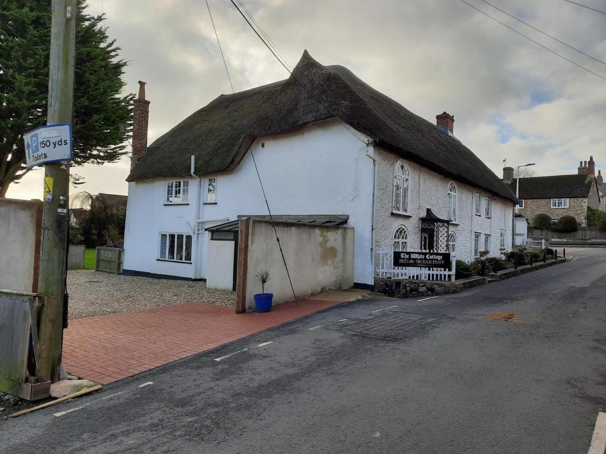 Colyton The White Cottage المظهر الخارجي الصورة