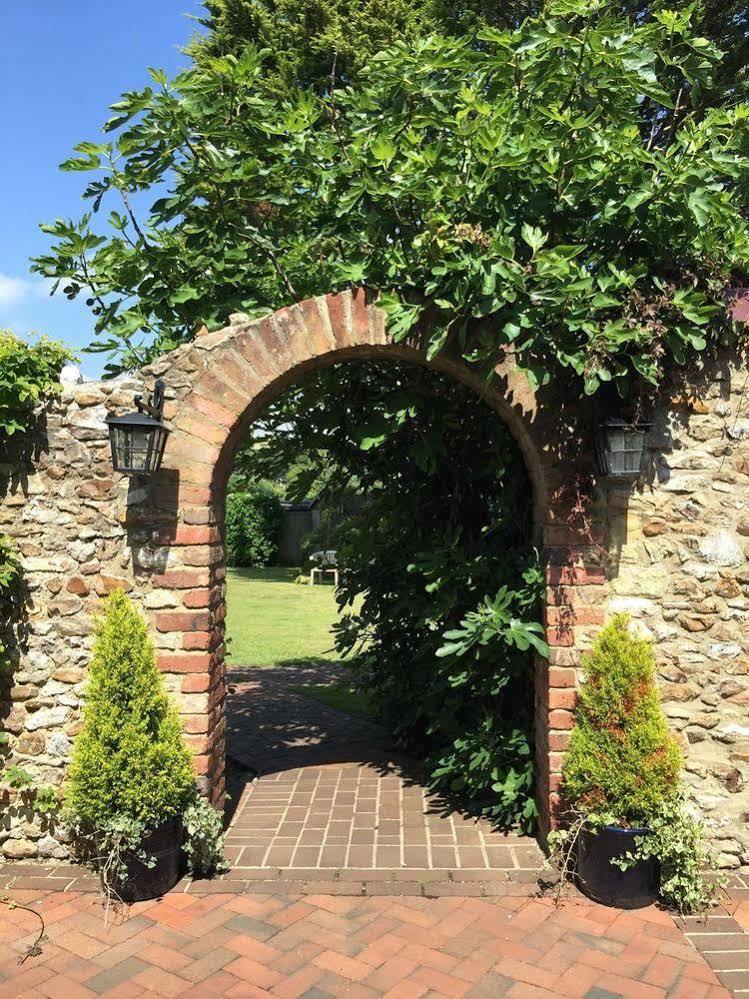 Colyton The White Cottage المظهر الخارجي الصورة