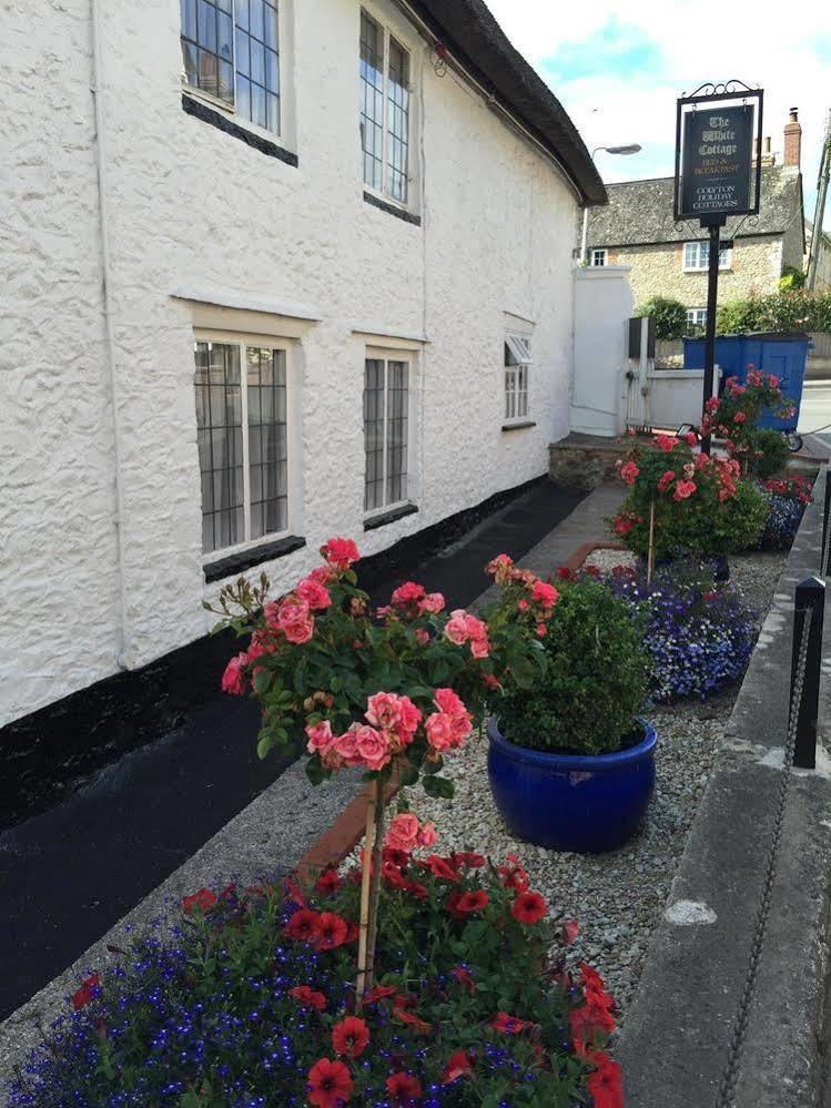 Colyton The White Cottage المظهر الخارجي الصورة